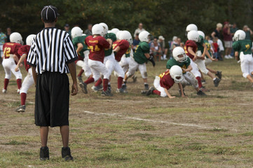 referee on field