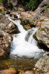 Naklejka premium mountain stream