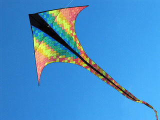 Drachen