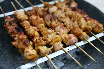 Roasting Shish Kebab on Skewers