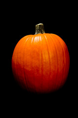 Pumpkin on Black