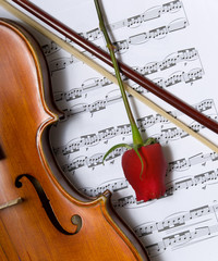 Violin, rose and music