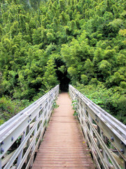 bridge to bamboo abyss - seven sacred pools np, maui