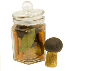 mushroom in the jar