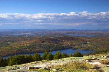 Fall foliage colors