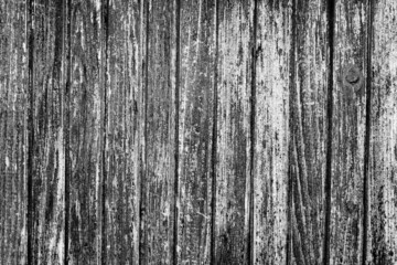 Black and white texture of old wooden door