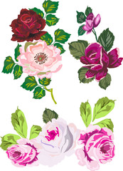 isolated rose decoration