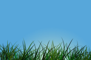 Herbes