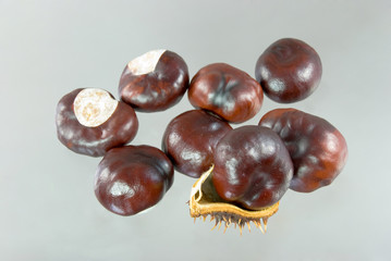 chestnuts