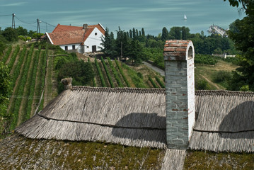 Hillside winery