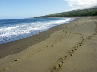 plage basaltique sous les tropiques presque...déserte