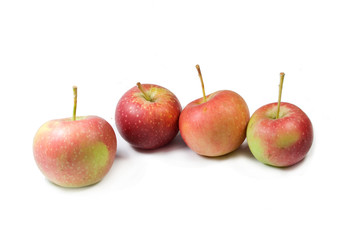 apples on isolated backround