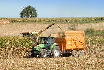 récolte du maïs pour l'ensilage