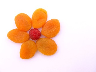 Fruit flower