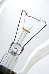 bulbs
