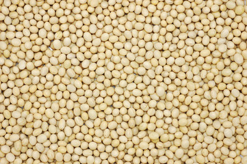 Soy beans