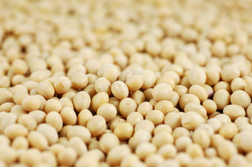 Close up of soy beans