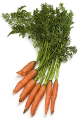 carrots