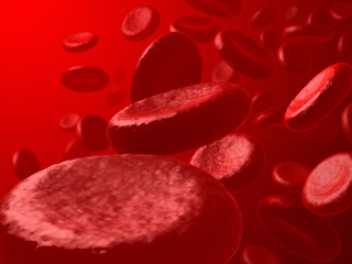 Vision of the red blood cells inside of the artery