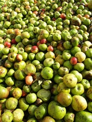 Apples