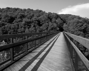 Fototapeta premium Foot Bridge B&W