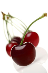 cherry