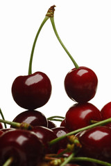 cherry