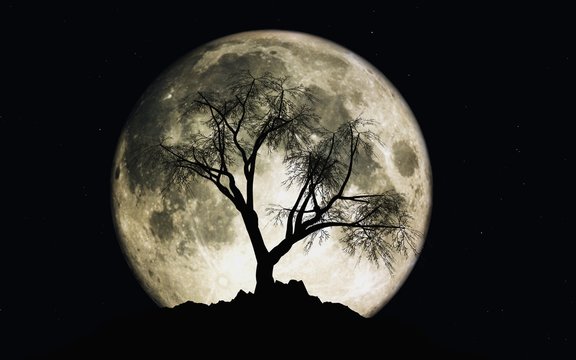 3D render of moon with stars and a tree silhouette