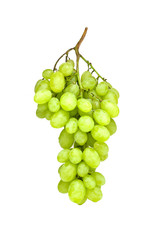 Grapes isolated on white