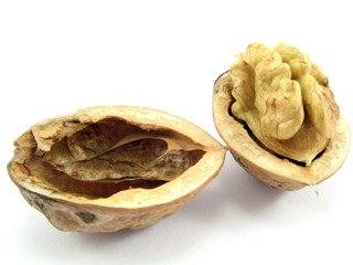 walnut