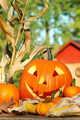 Autumn harvest with scarved pumpkin