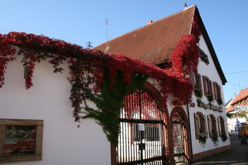 Winzerhaus