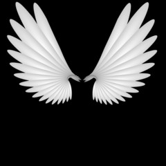 Fototapeta na wymiar Angel wings