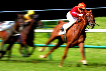 hippique 04