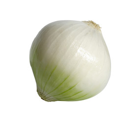 onion isolated with clipping path