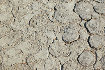 Land cracked background