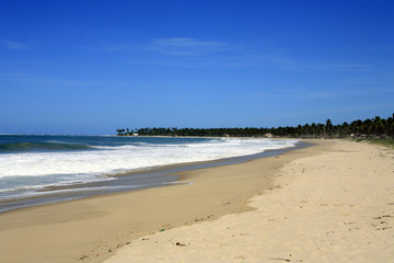 Fototapeta na wymiar Plaża Maracaipe
