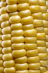 corn