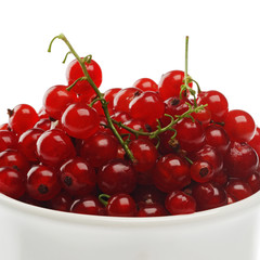 currant
