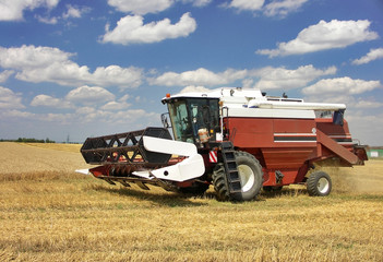 Fototapeta premium harvester