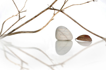 Branches et galets