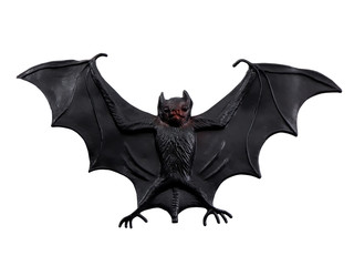 Bat