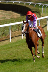 galopeur à l'entrée en piste