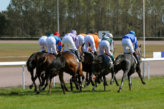 peloton de chevaux lors d'une course de plat