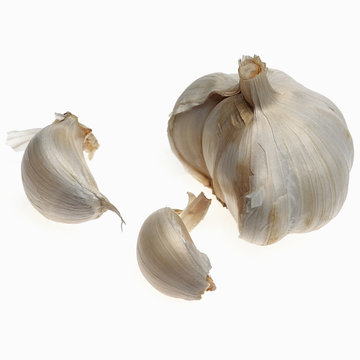 garlic
