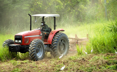 Farmer prepares the land for crops