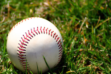 baseball in the grass
