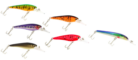 School of Fishing Lures