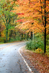 Beautiful Autumn Drive