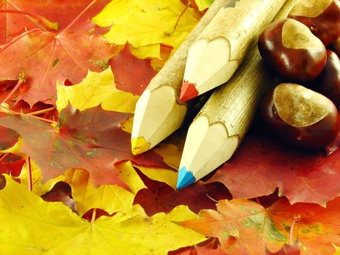 chestnuts and color pencils